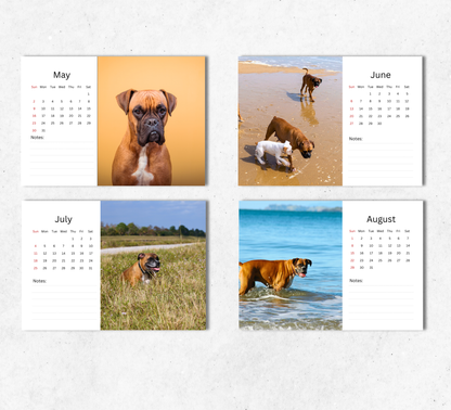 Boxer Dog Desk Calendar 2027-2028