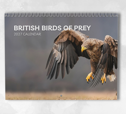 British Birds of Prey Calendar 2027