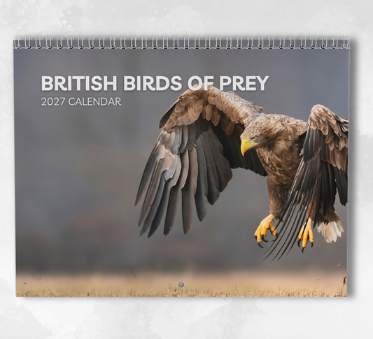 British Birds of Prey Calendar 2027