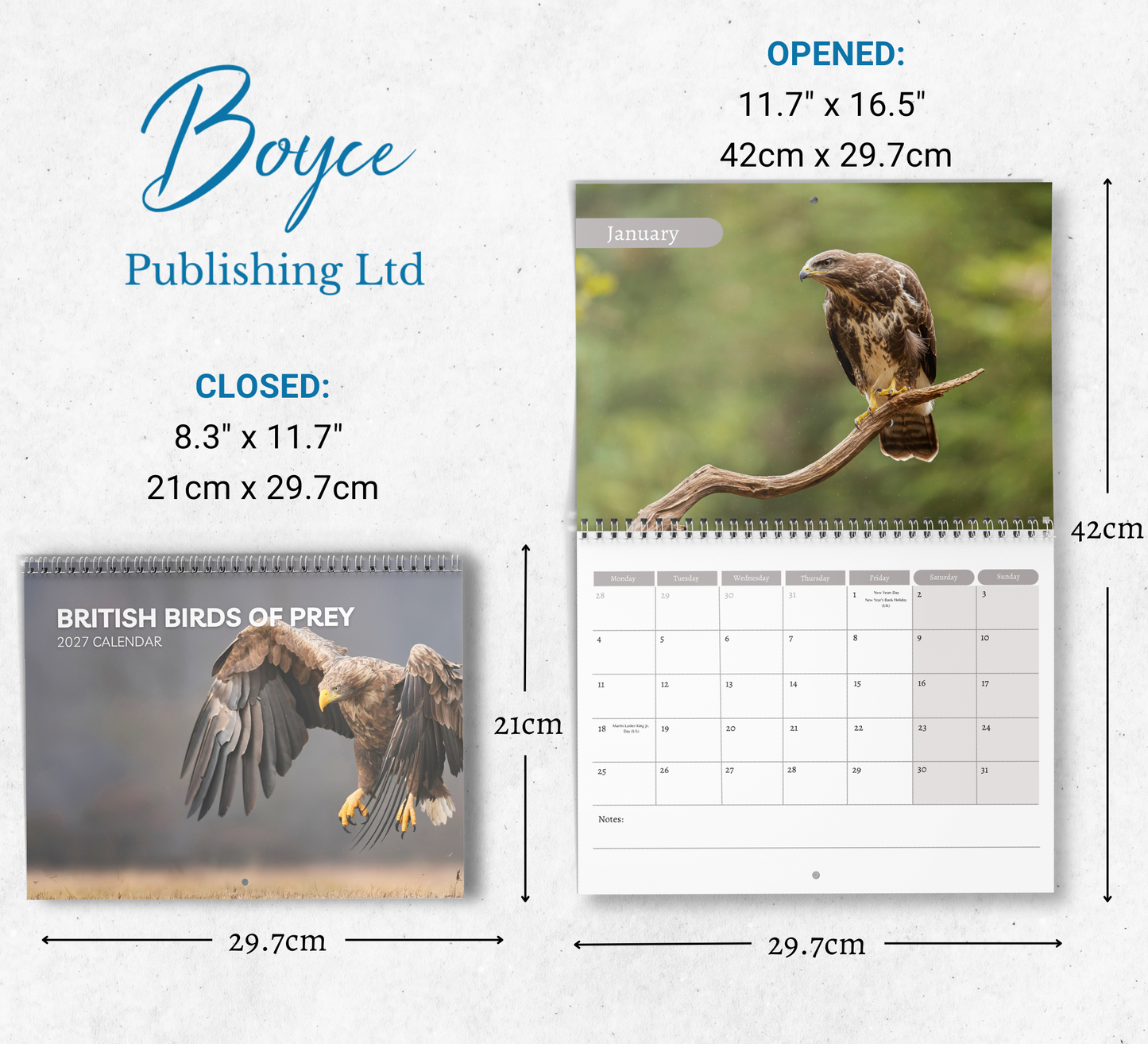 British Birds of Prey Calendar 2027