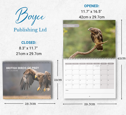 British Birds of Prey Calendar 2027