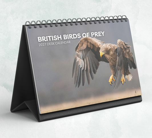 British Birds of Prey Desk Calendar 2027-2028