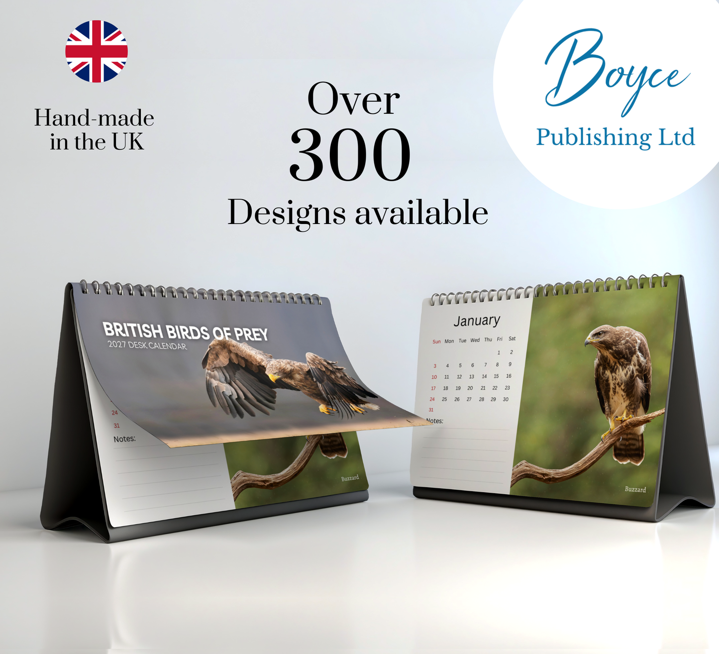 British Birds of Prey Desk Calendar 2027-2028