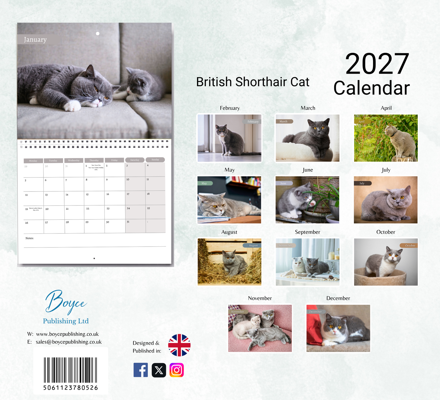 British Shorthair Cat Calendar 2027