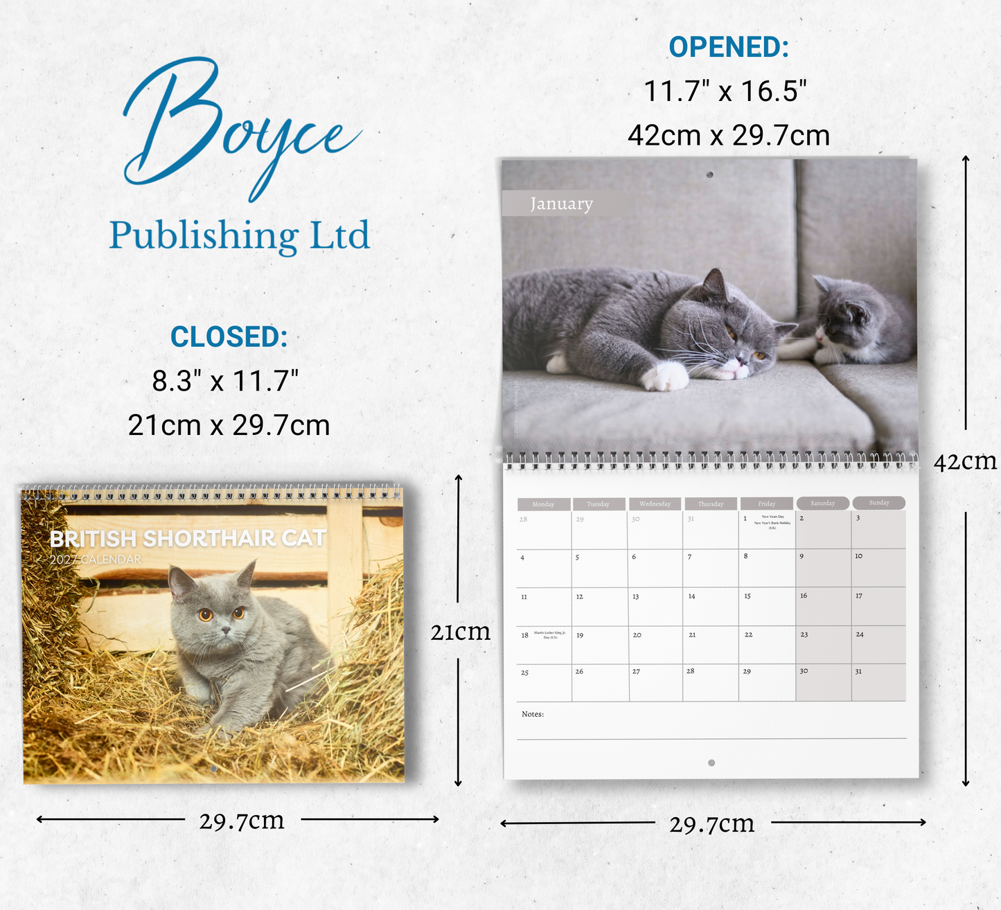 British Shorthair Cat Calendar 2027