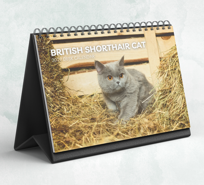 British Shorthair Cat Desk Calendar 2027-2028
