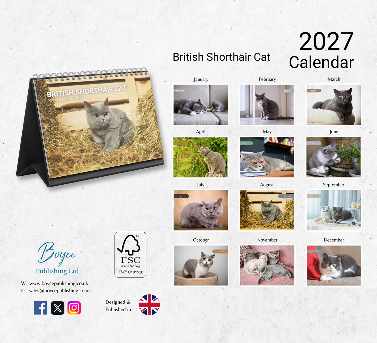 British Shorthair Cat Desk Calendar 2027-2028