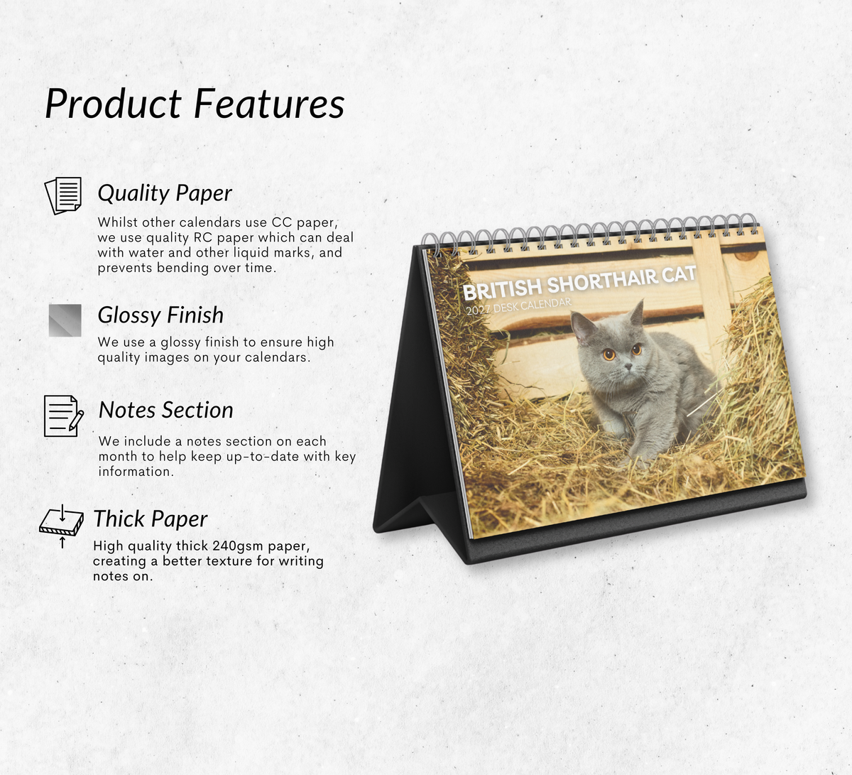 British Shorthair Cat Desk Calendar 2027-2028