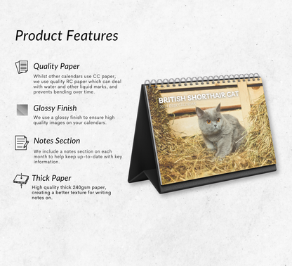 British Shorthair Cat Desk Calendar 2027-2028
