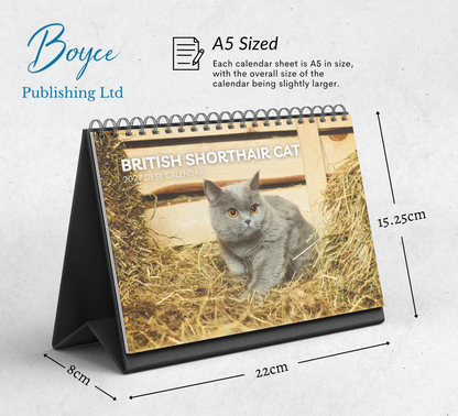 British Shorthair Cat Desk Calendar 2027-2028