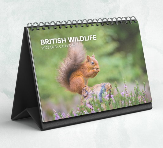 British Wildlife Desk Calendar 2027-2028