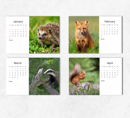 British Wildlife Desk Calendar 2027-2028