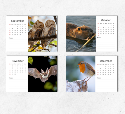 British Wildlife Desk Calendar 2027-2028