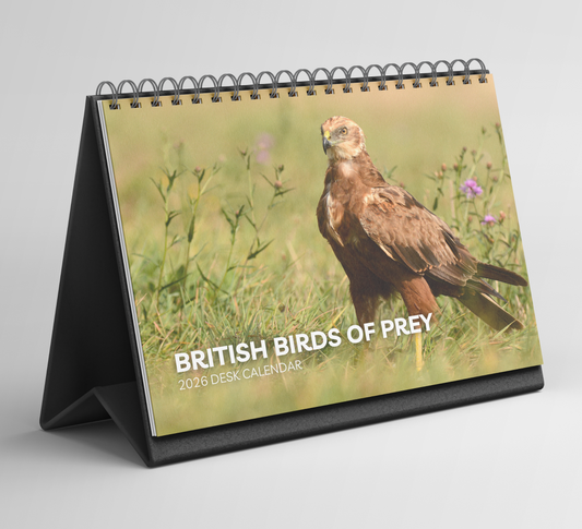 British Birds of Prey Desk Calendar 2026-2027