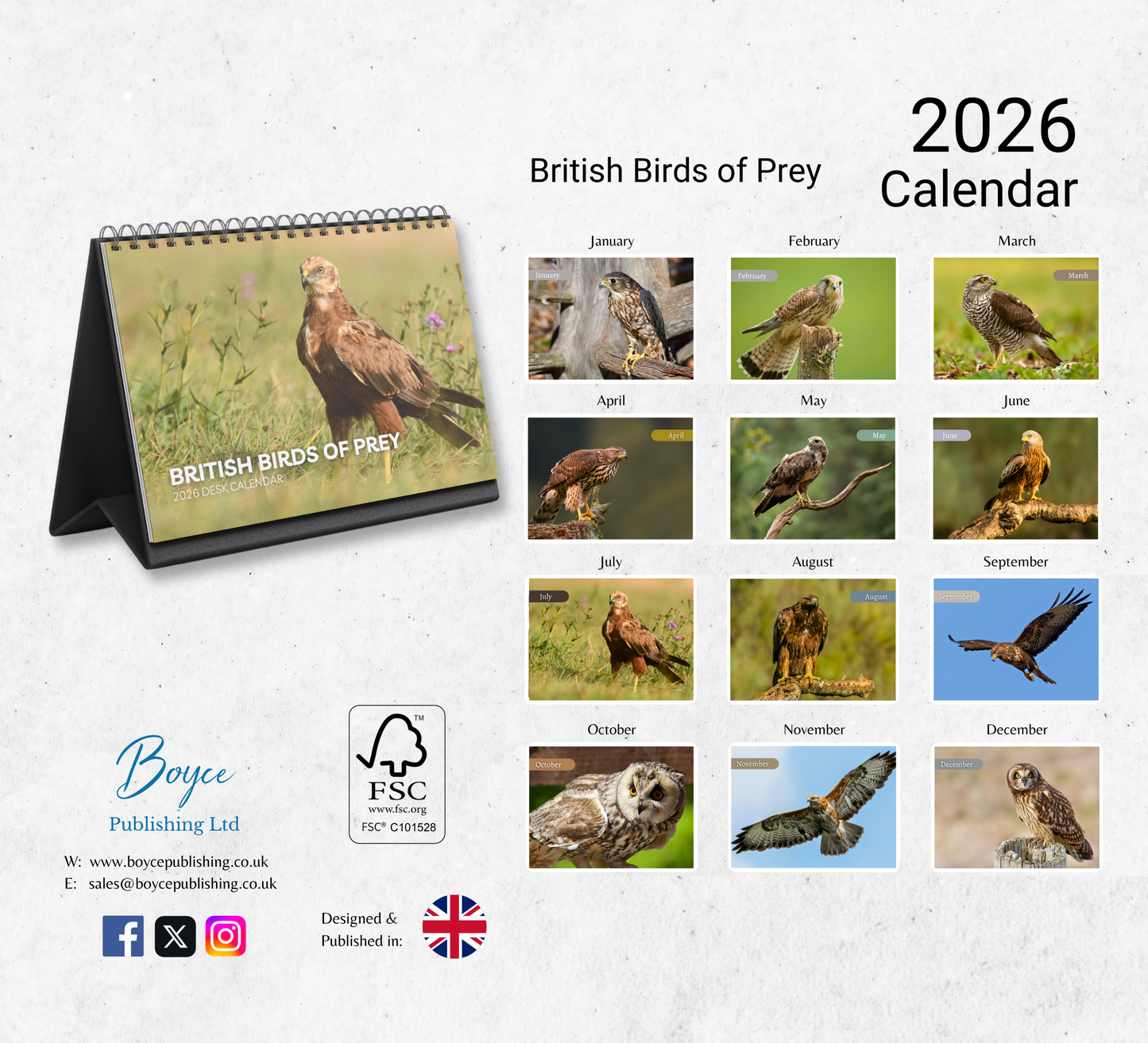 British Birds of Prey Desk Calendar 2026-2027