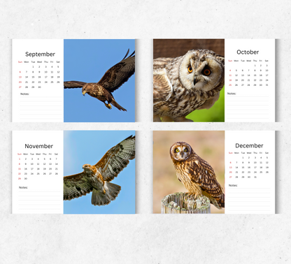 British Birds of Prey Desk Calendar 2026-2027