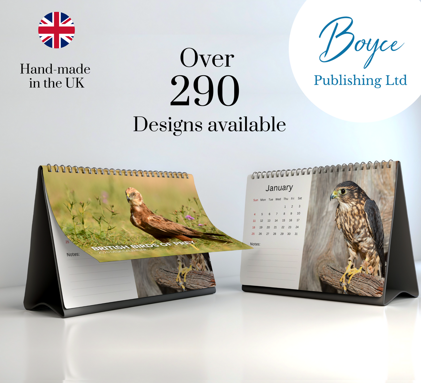 British Birds of Prey Desk Calendar 2026-2027