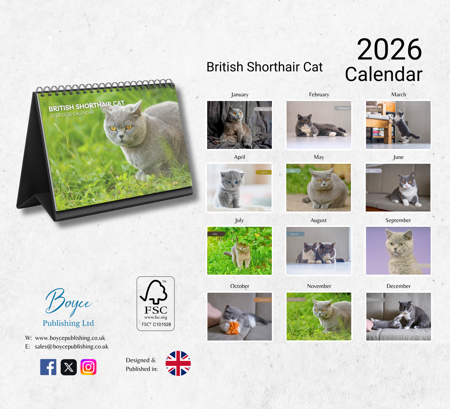 British Shorthair Cat Desk Calendar 2026-2027