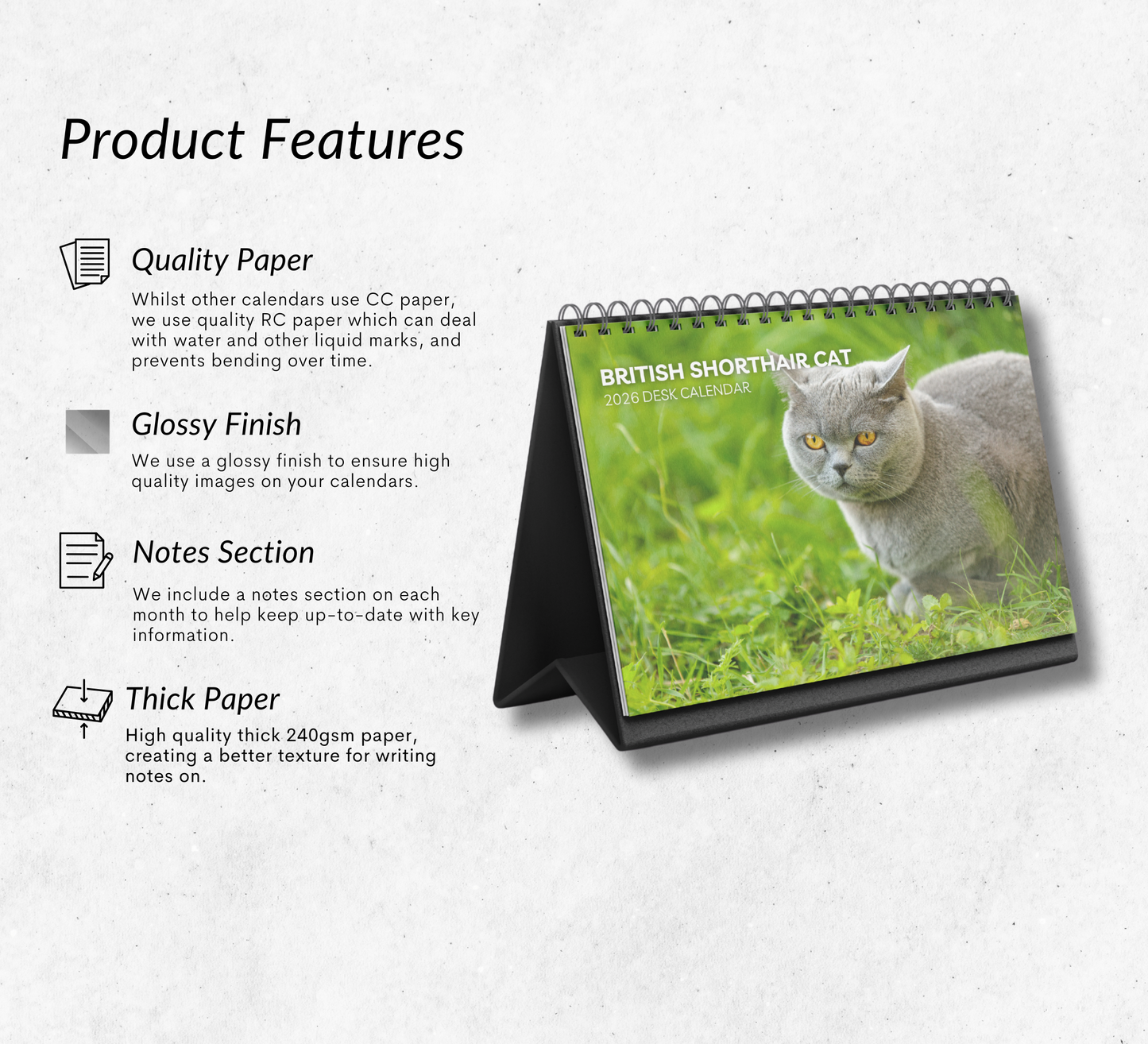 British Shorthair Cat Desk Calendar 2026-2027