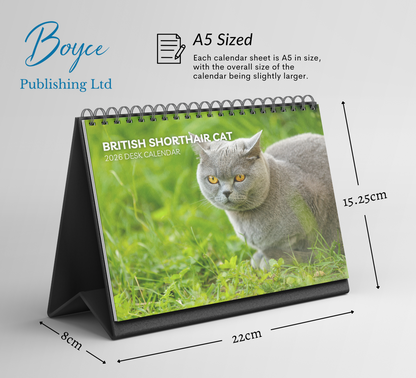 British Shorthair Cat Desk Calendar 2026-2027
