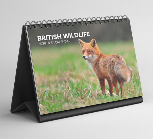 British Wildlife Desk Calendar 2026-2027