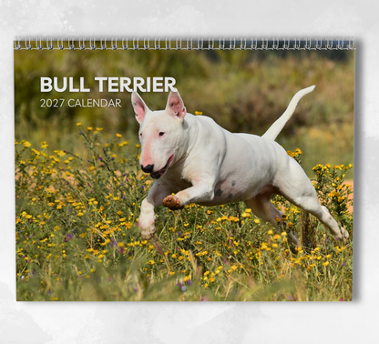 Bull Terrier Calendar 2027