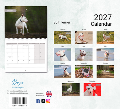 Bull Terrier Calendar 2027