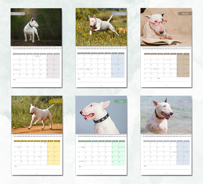 Bull Terrier Calendar 2027