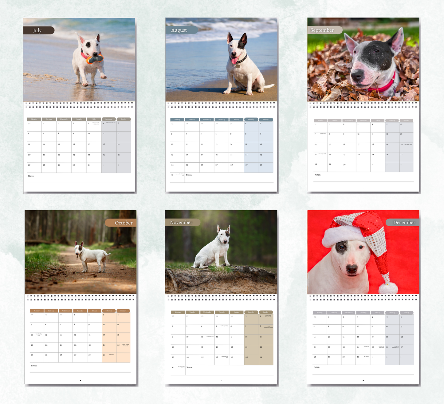 Bull Terrier Calendar 2027
