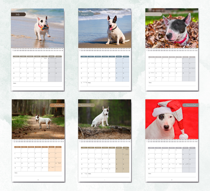 Bull Terrier Calendar 2027