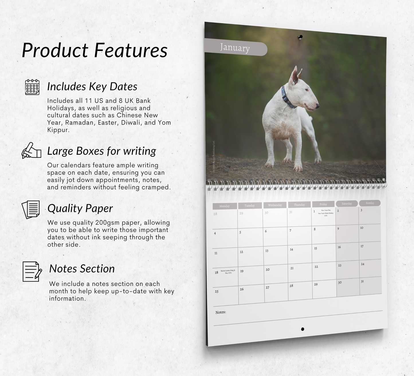 Bull Terrier Calendar 2027