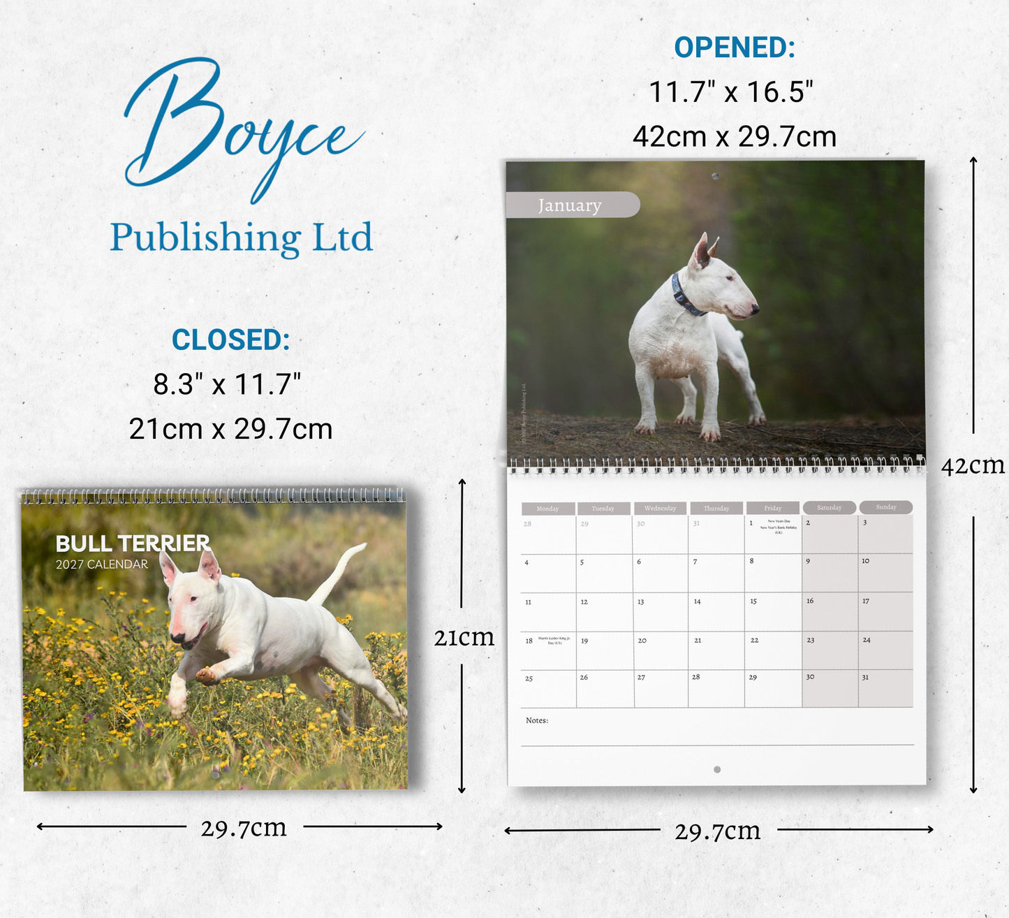 Bull Terrier Calendar 2027