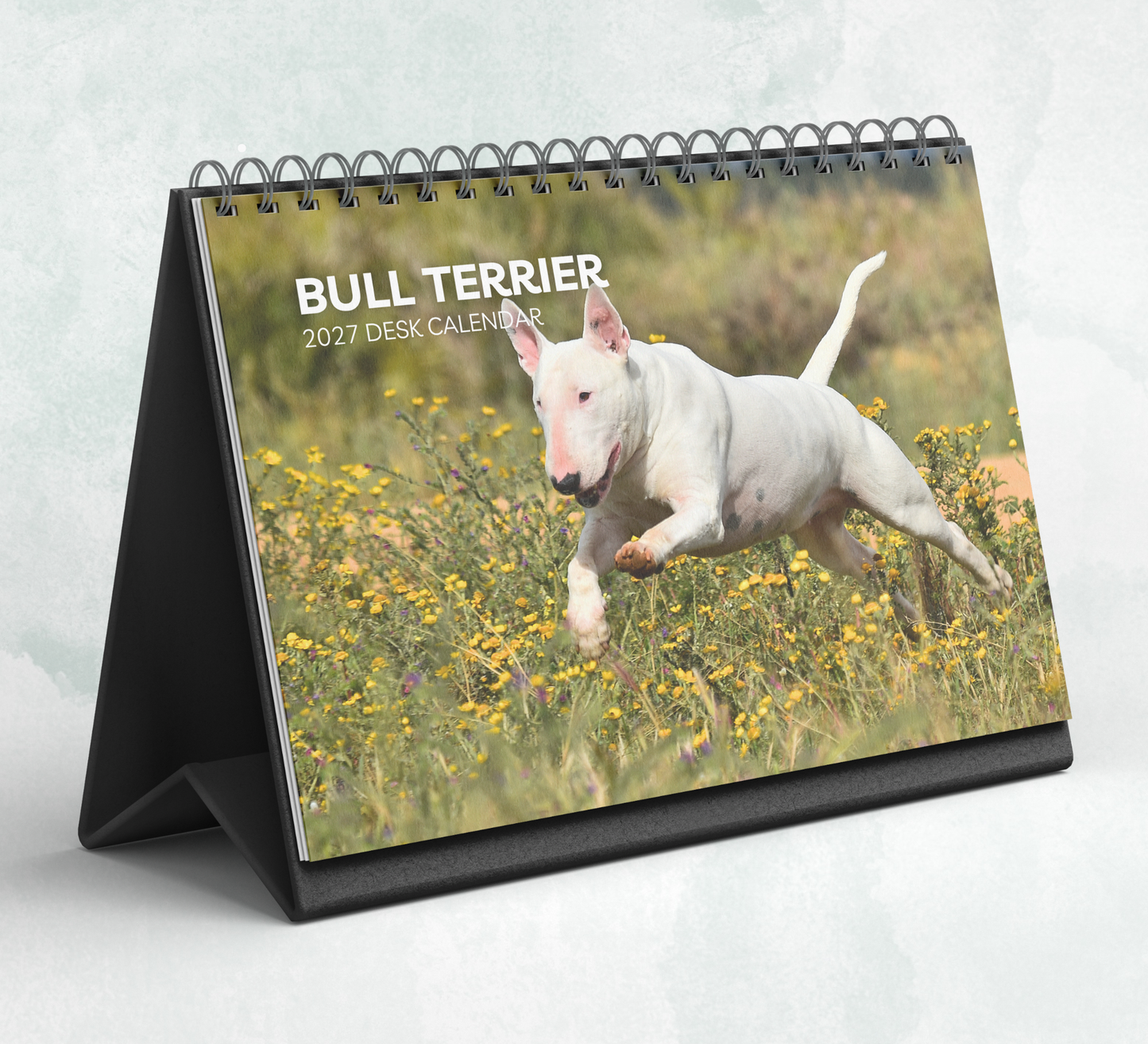 Bull Terrier Desk Calendar 2027-2028