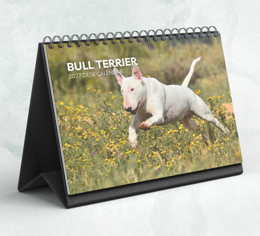 Bull Terrier Desk Calendar 2027-2028