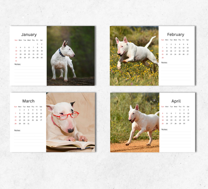 Bull Terrier Desk Calendar 2027-2028
