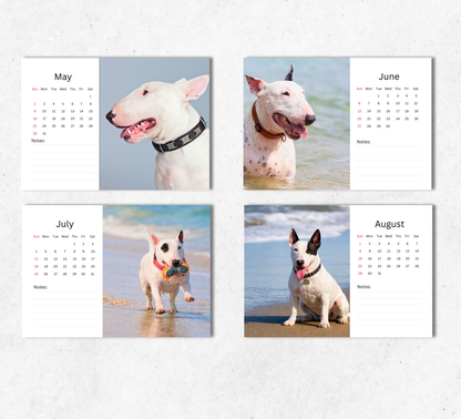 Bull Terrier Desk Calendar 2027-2028