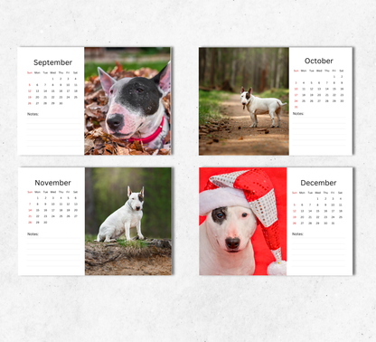 Bull Terrier Desk Calendar 2027-2028