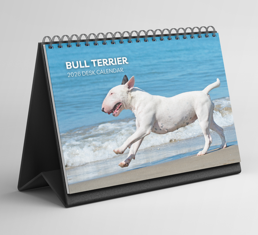 Bull Terrier Desk Calendar 2026-2027