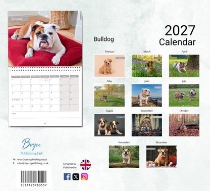 Bulldog Calendar 2027