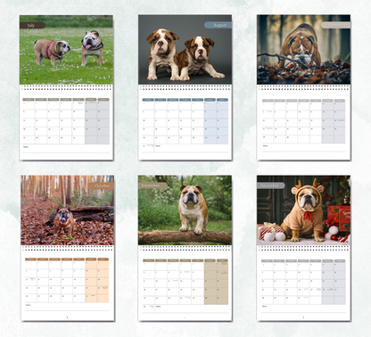 Bulldog Calendar 2027