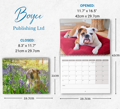 Bulldog Calendar 2027