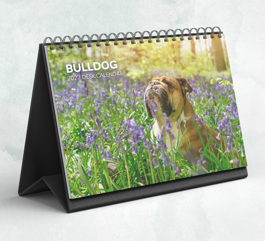 Bulldog Desk Calendar 2027-2028