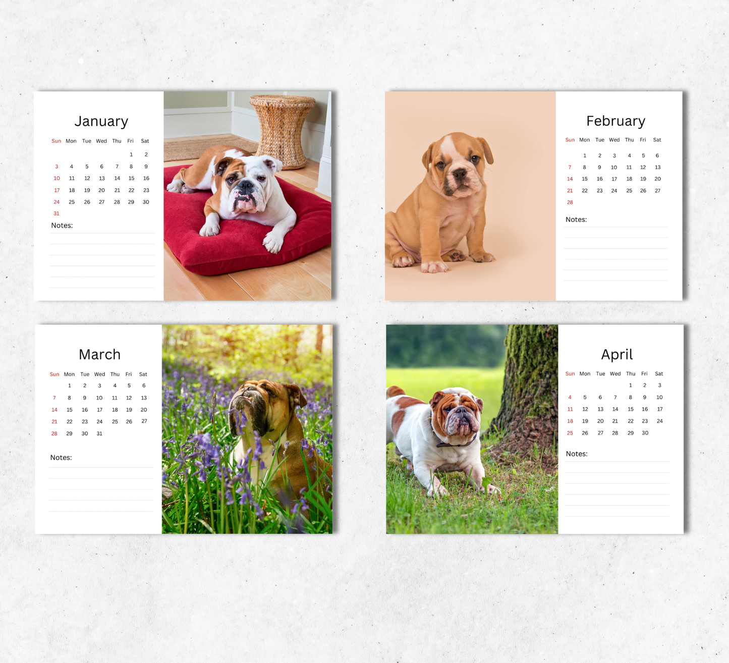 Bulldog Desk Calendar 2027-2028