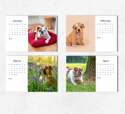 Bulldog Desk Calendar 2027-2028