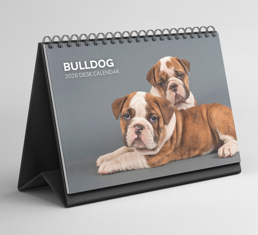 Bulldog Desk Calendar 2026-2027