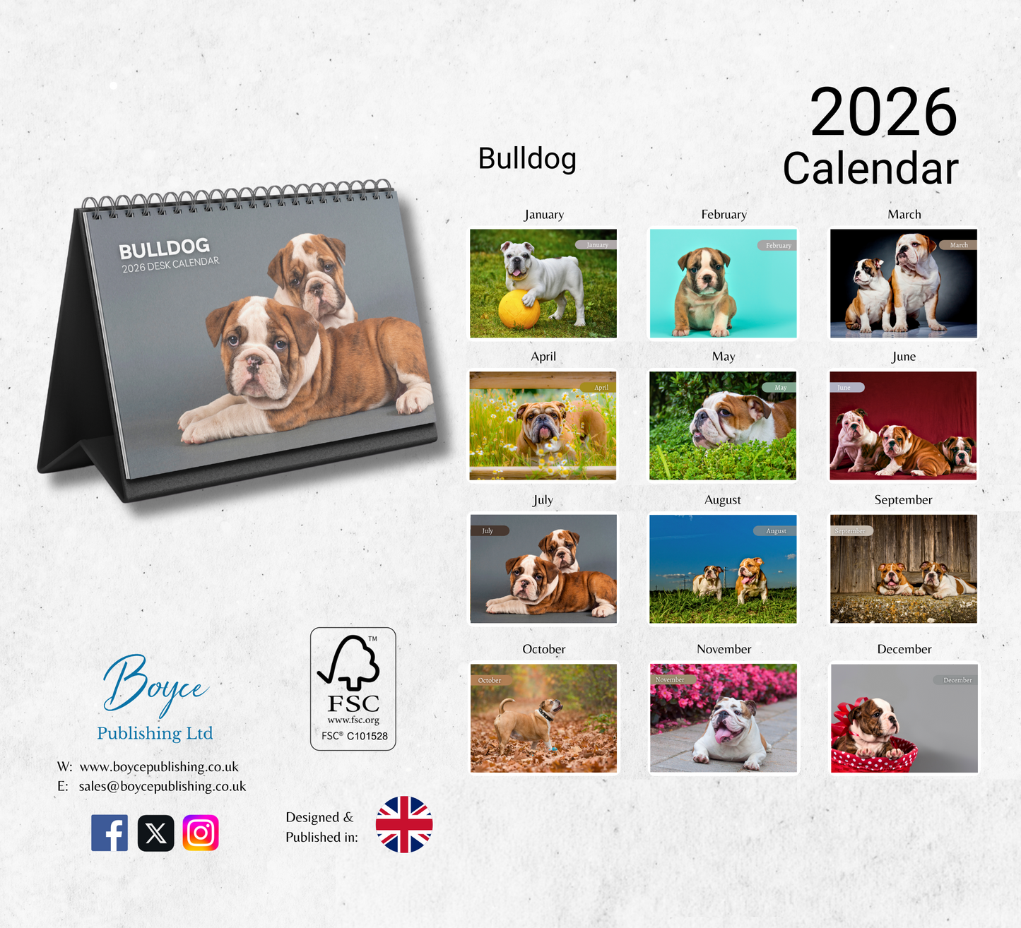 Bulldog Desk Calendar 2026-2027