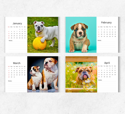 Bulldog Desk Calendar 2026-2027