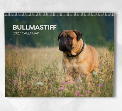 Bullmastiff Calendar 2027