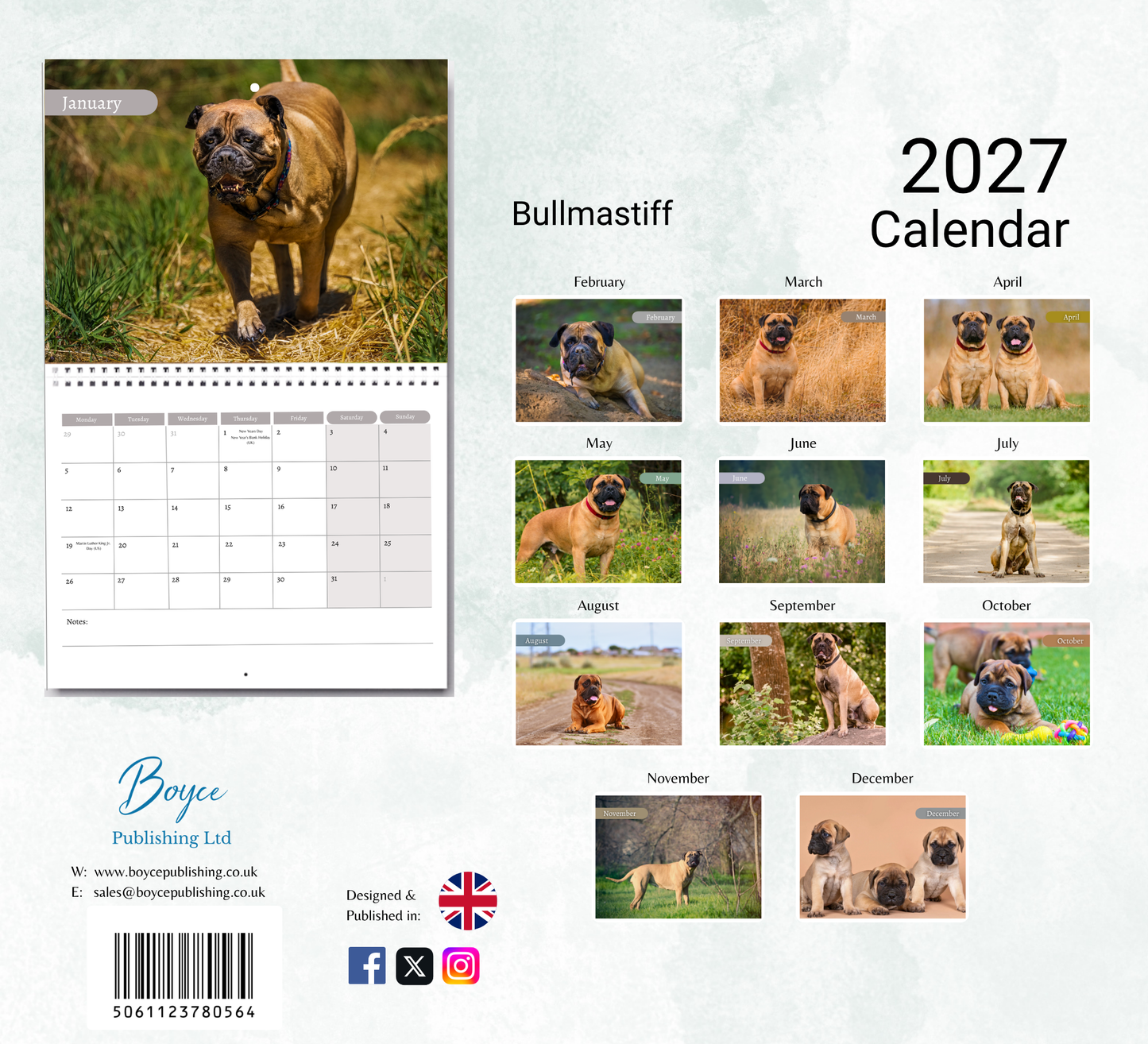 Bullmastiff Calendar 2027