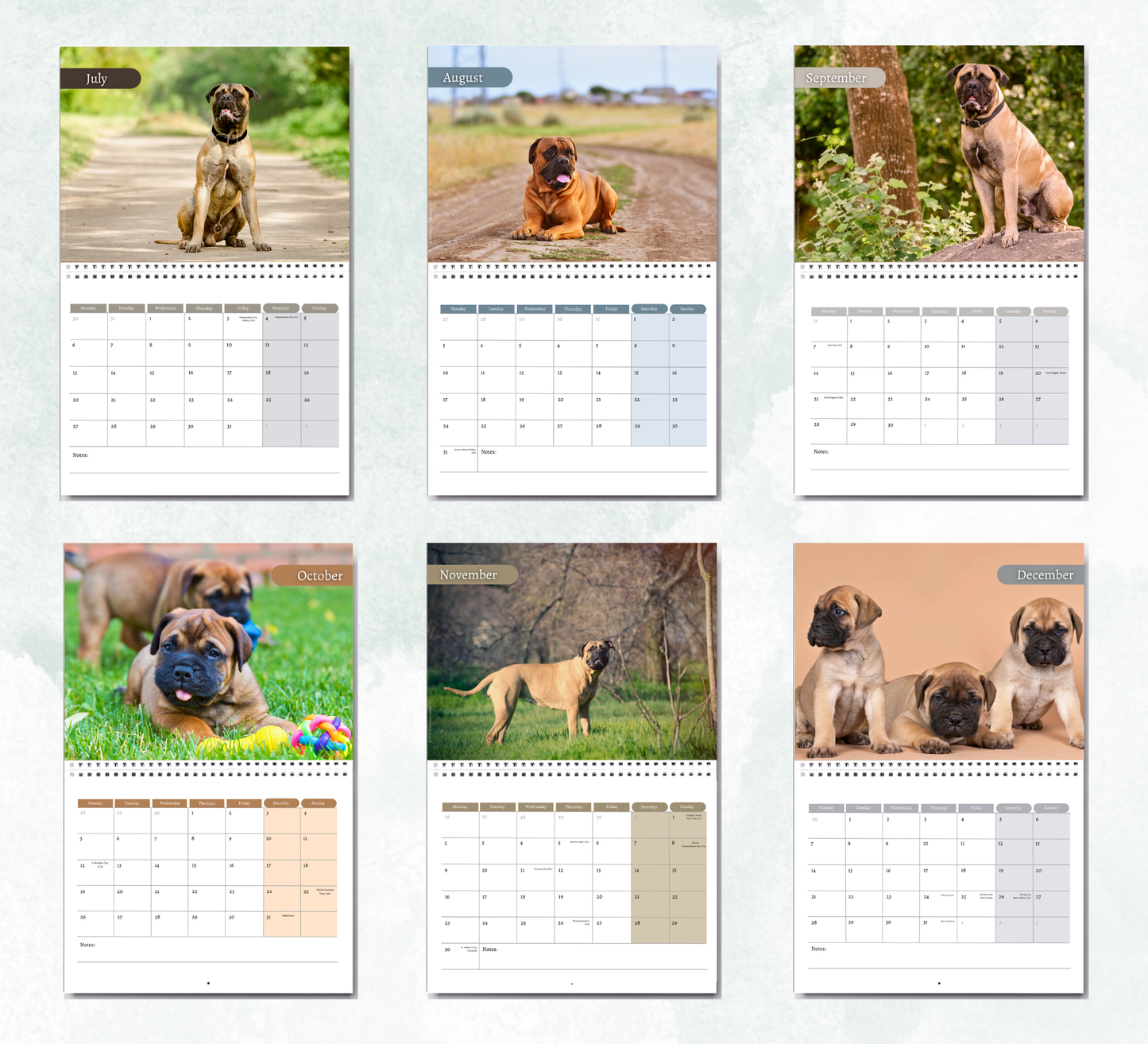 Bullmastiff Calendar 2027